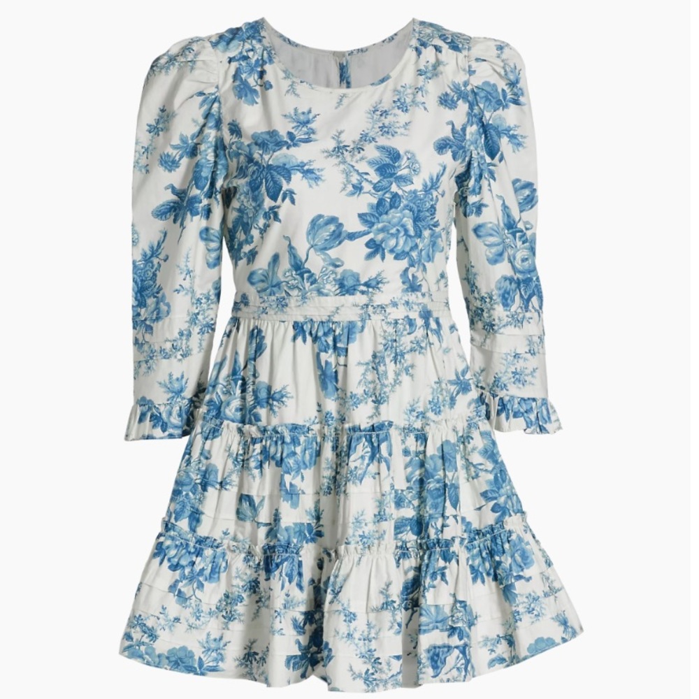LSF Lienzo Floral Minidress